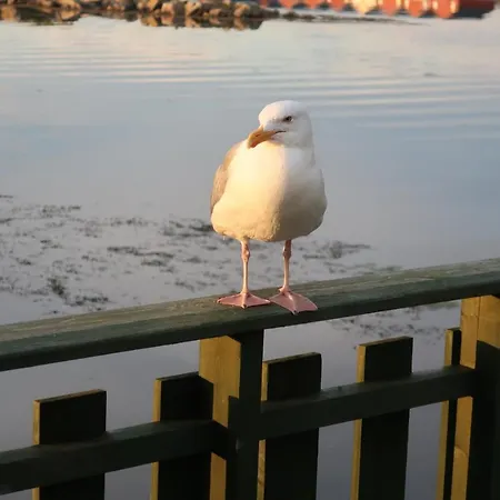 Apartament Fredheimbrygga Andenes